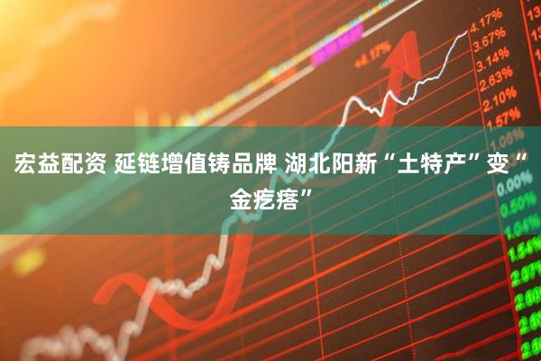 宏益配资 延链增值铸品牌 湖北阳新“土特产”变“金疙瘩”